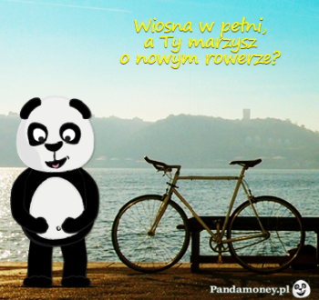 pandamoney-pandamoney